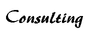 IT Consulting